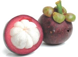 mangosteen fruit