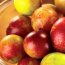Health benefits of camu camu berry