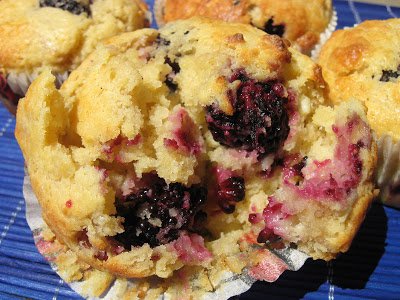 mulberry muffins