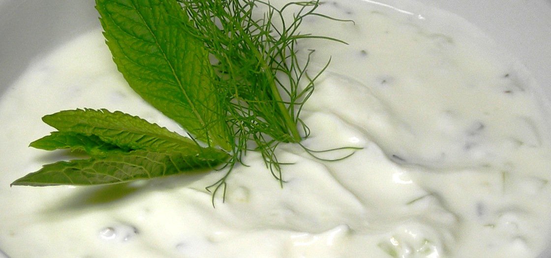 yogurt - natural probiotic food