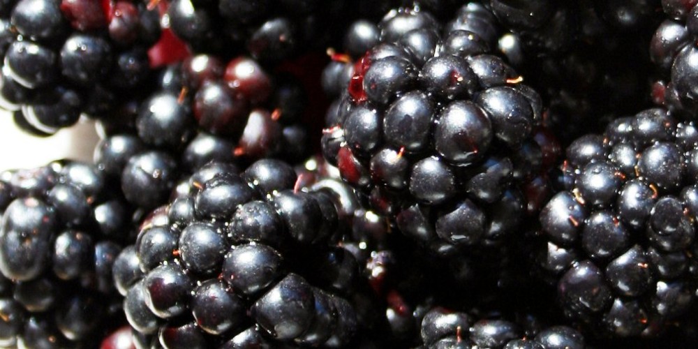 Health benefits for blackberries