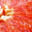 Potential benefits of grapefruit seeds