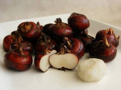 chinese water chestnut