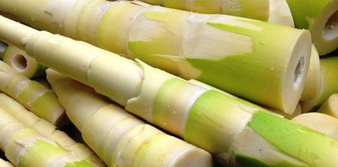 Health benefits of bamboo shoots