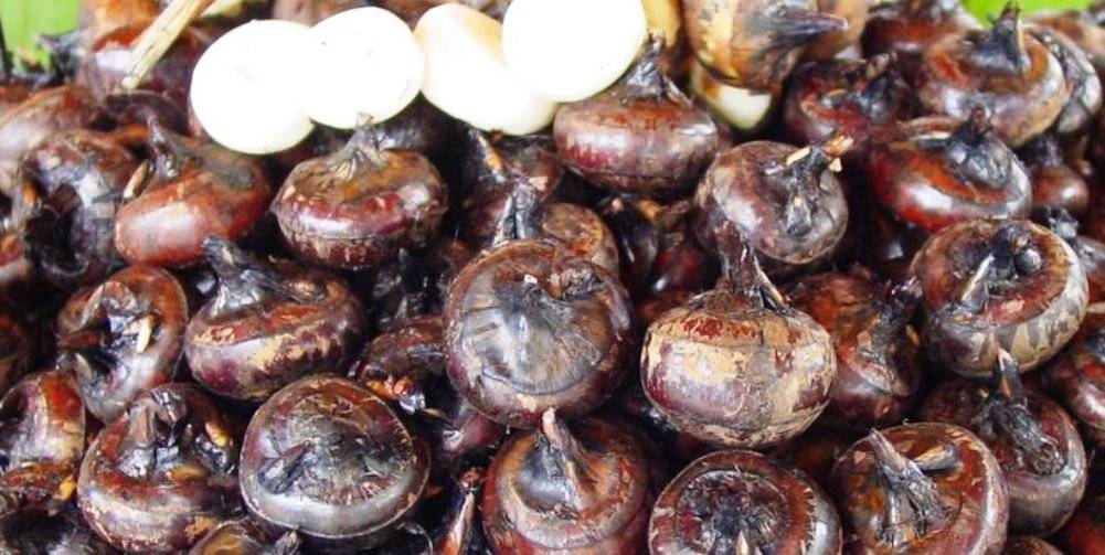 health benefits of chinese water chestnuts
