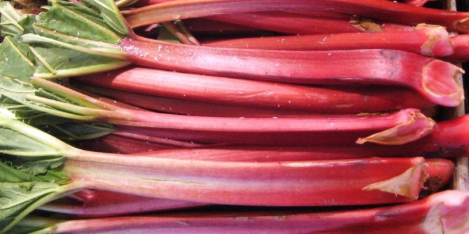 Health benefits of Rhubarb