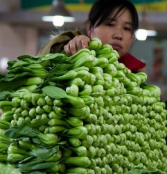 bok choy sold in market place