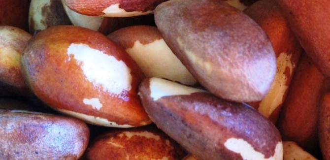 Health benefits of Brazil nuts