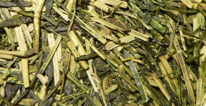 Health benefits of Kukicha twig tea