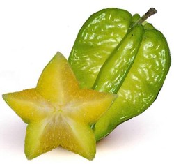 starfruit and cross section