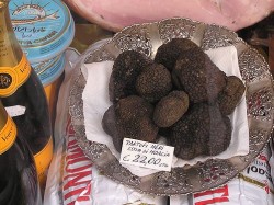 Black truffles for sale