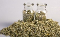 dried damiana herb