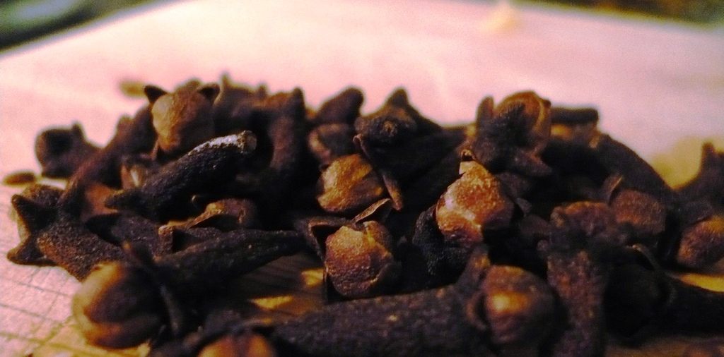 health benefits of dried cloves