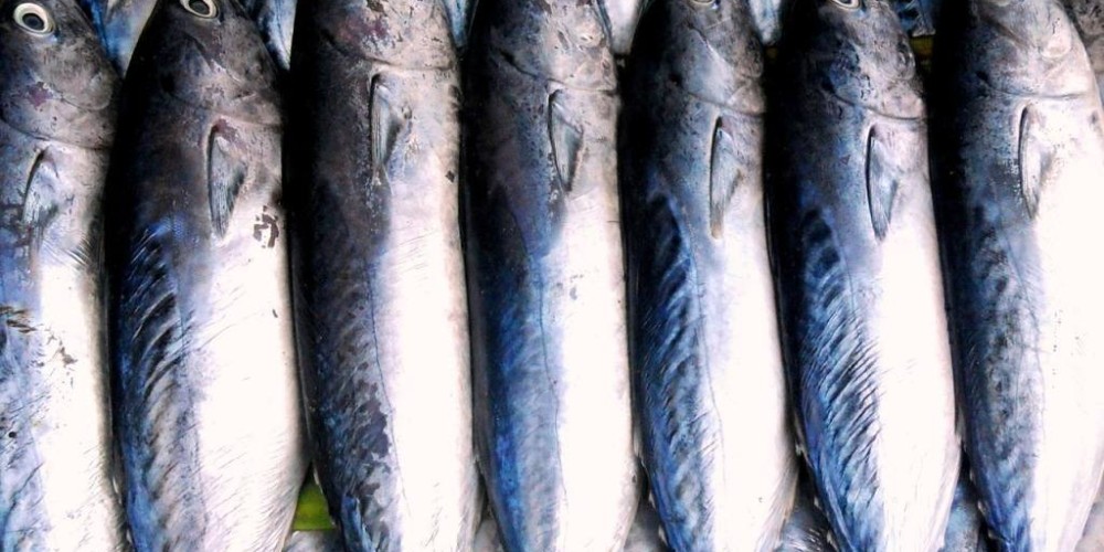 Health benefits of tuna