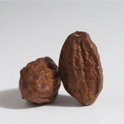 haritaki dried fruits