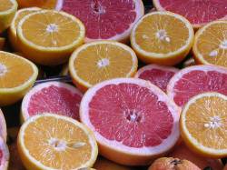 grapefruit crosssections