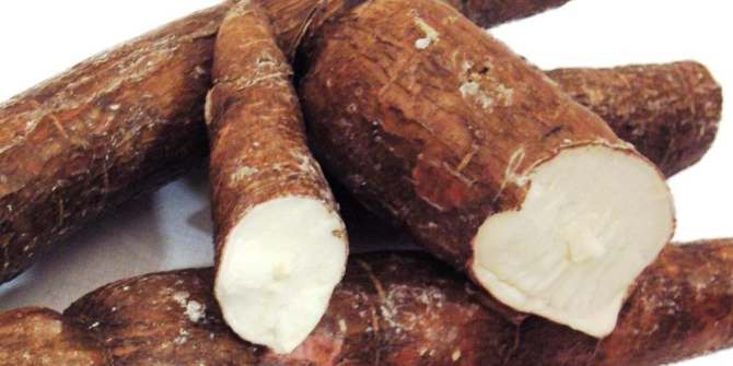 Health benefits of Cassava
