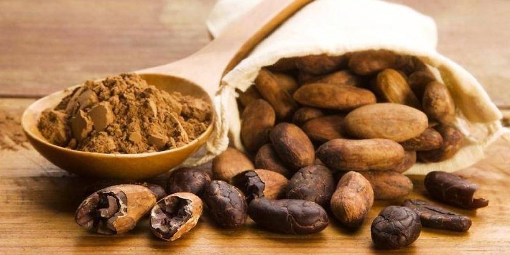Health benefits of raw cacao beans