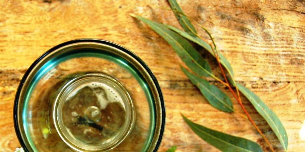 Health benefits of Eucalyptus oil