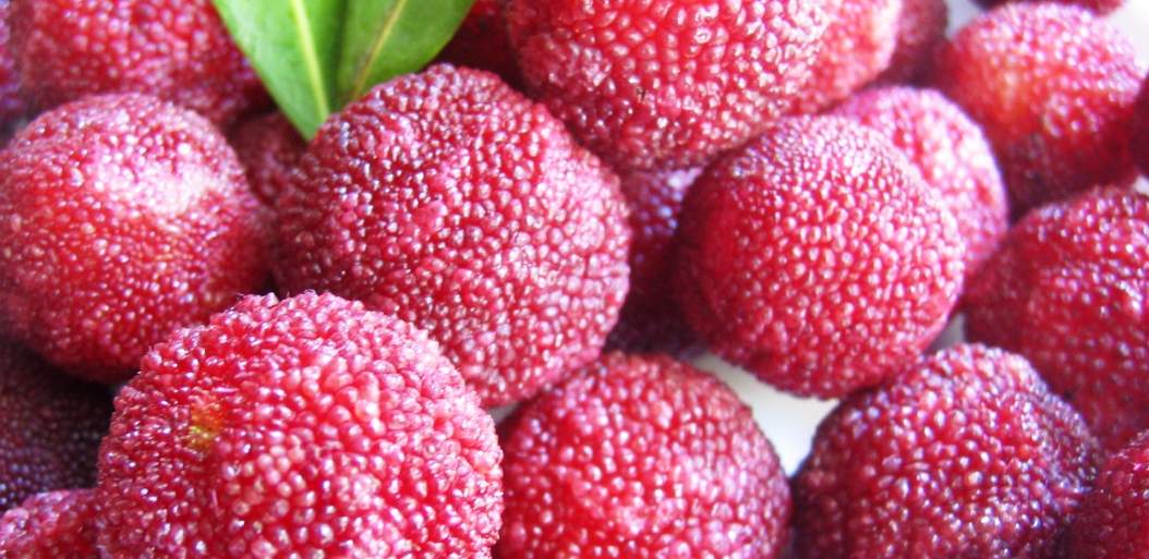 health benefits of yangmei fruit