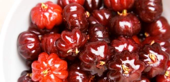 Succulent Surinam cherry benefits