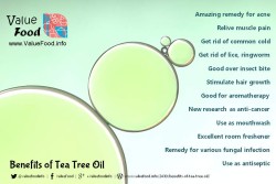 benefits of tea tree oil