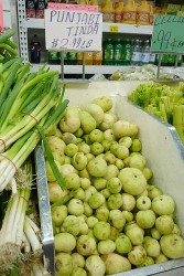 punjabi tinda in indiatown supermart