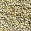 Health benefits of Bajra / Pearl Millet