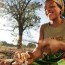 Benefits of this Africian Nut – Mongongo