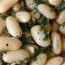 Benefits of Cannellini beans