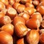 Are Hazelnuts Healthy?