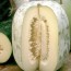 Benefits of Winter melon
