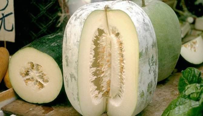 Benefits of Winter melon