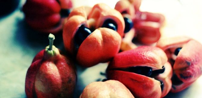 Health benefits of Ackee – the Jamaican fruit blast!