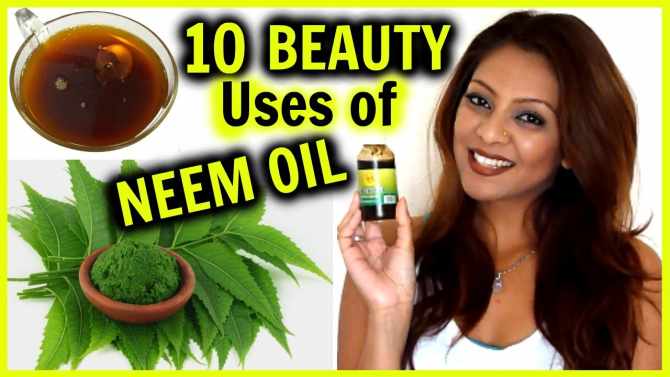 Understanding the various uses of Neem Oil