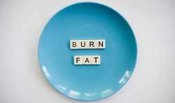 Promote fat burning process