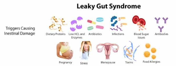Leaky Gut Symptoms, Causes, Risk Factors, Medical Diagnosis, And Treatment