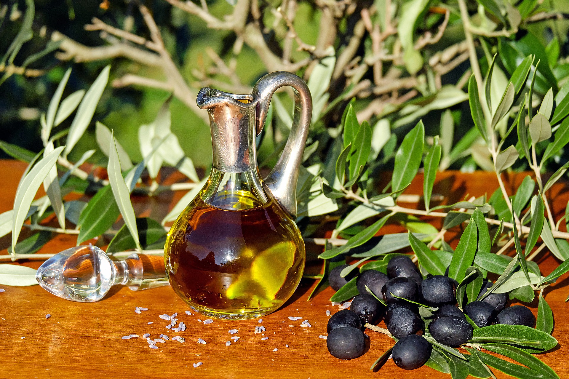 Olives Good for You