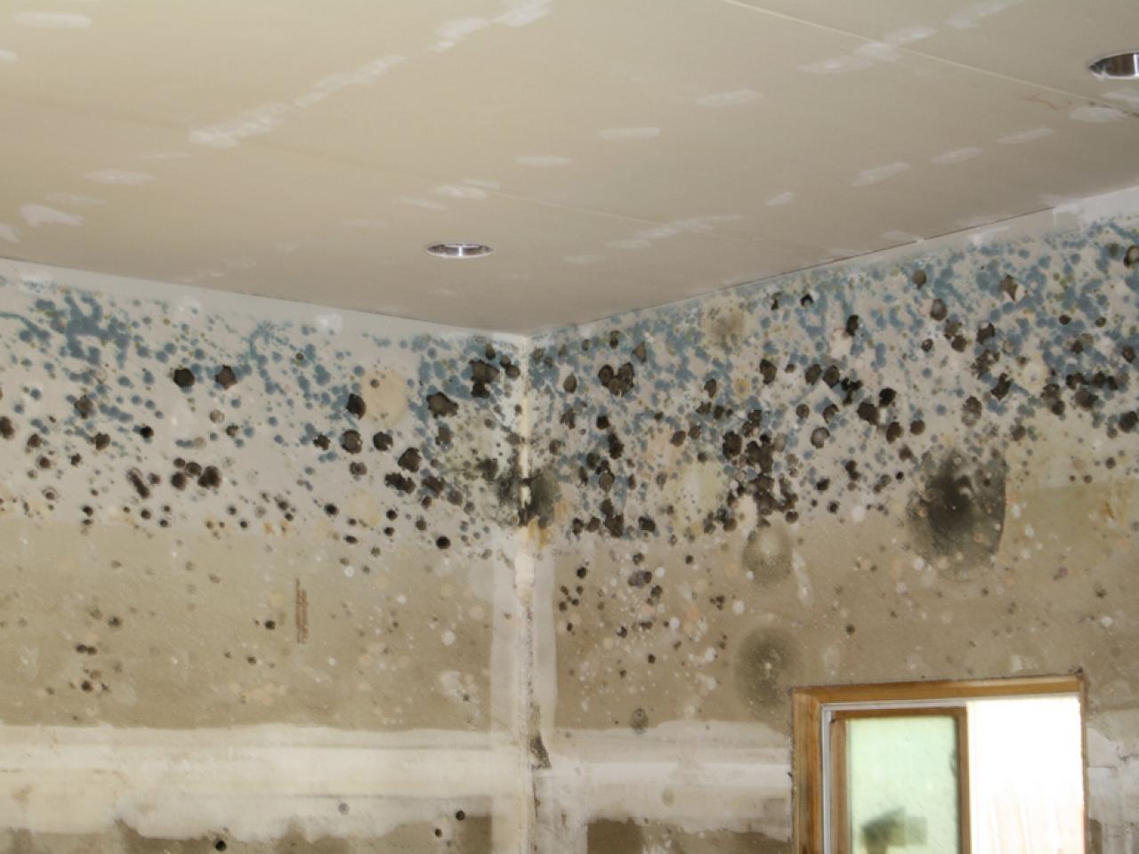 mold on the bathroom ceiling