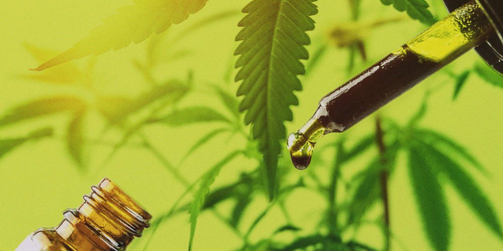 Have You Tried These CBD Concentrates?