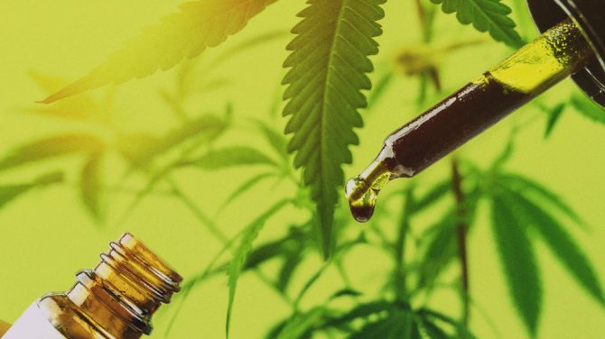 Have You Tried These CBD Concentrates?