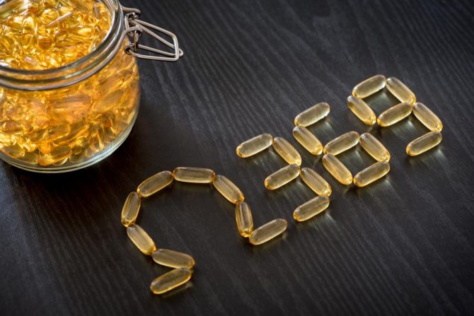 Why Fish Oil Alternatives Are Just As Effective: Things to know