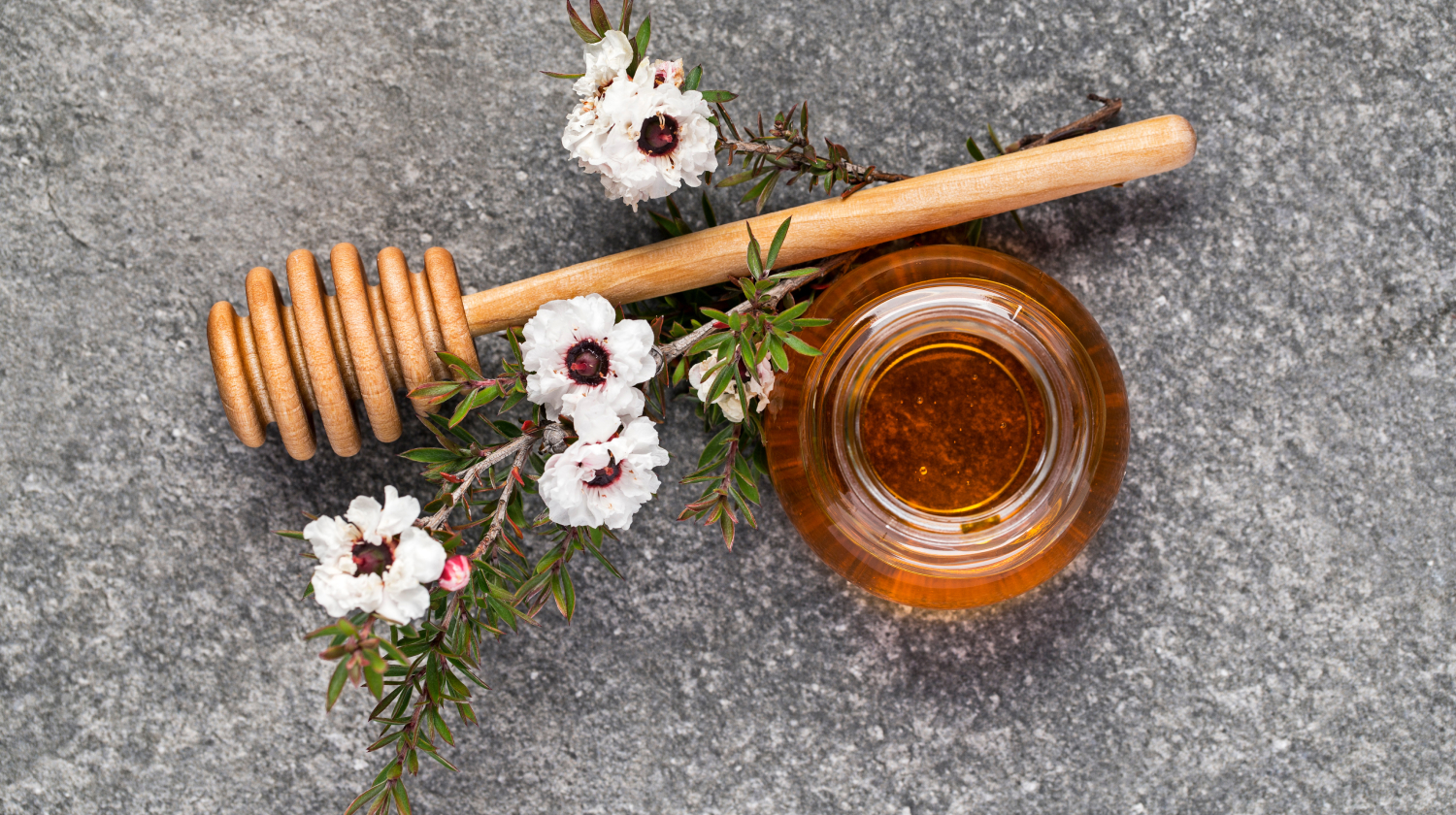 Secrets Of Manuka Honey: An In-Depth Look
