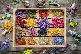 Healing Herbs: The Role of Natural Remedies in Children’s Health